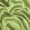 Атлас фісташковий Атлас фісташковий